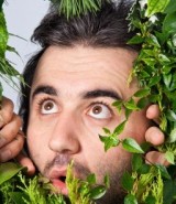 Improve Your Visibility with SEO